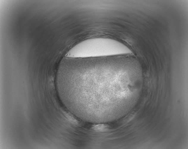 X0000063520269200601231523