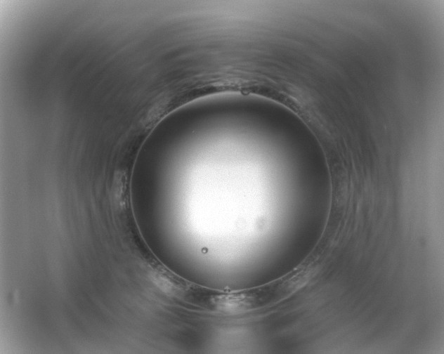 X0000063520273200601231523