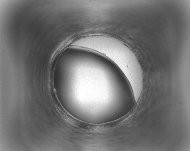 X0000063520293200601231523