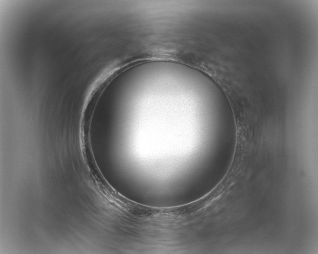 X0000063520294200601231523