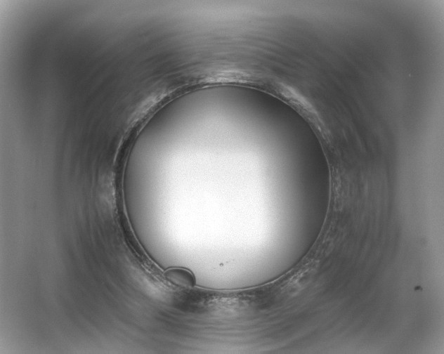 X0000063520298200601231523