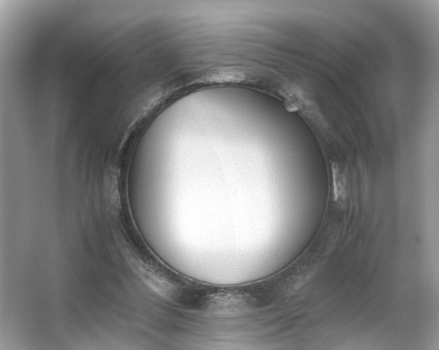 X0000063520300200601231523