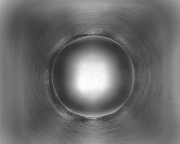 X0000063520303200601231523