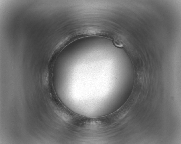 X0000063520304200601231523