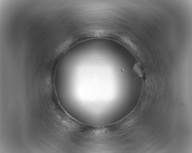 X0000063520306200601231522