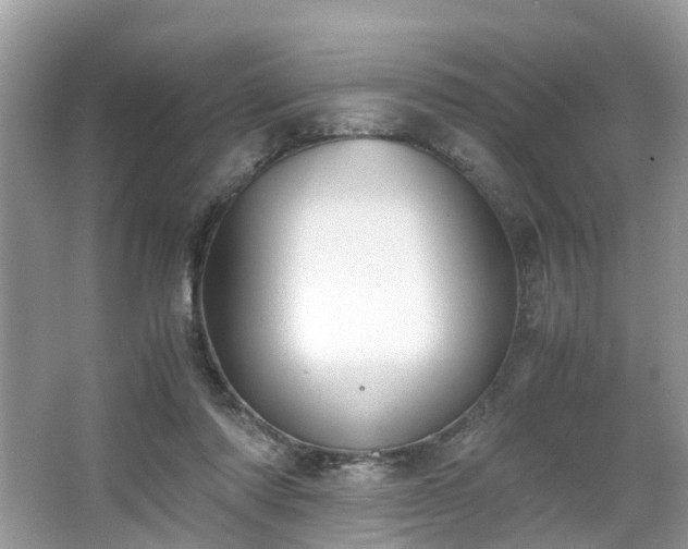 X0000063520310200601231522