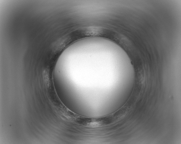 X0000063520312200601231522