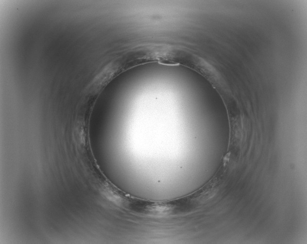 X0000063520313200601231522