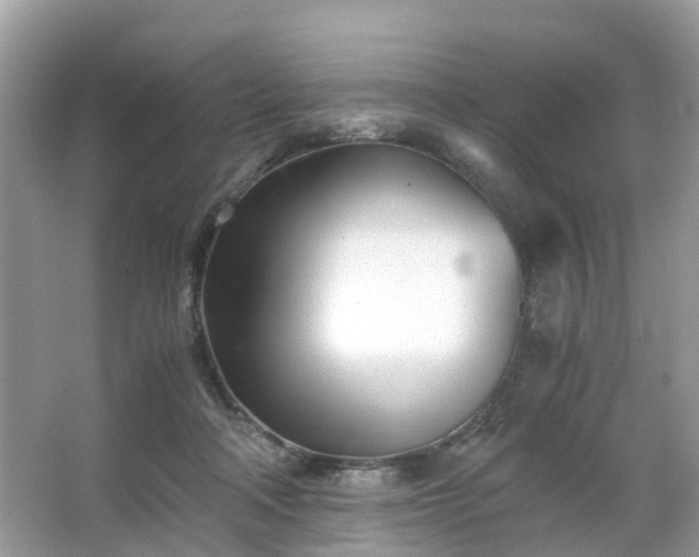 X0000063520314200601231522