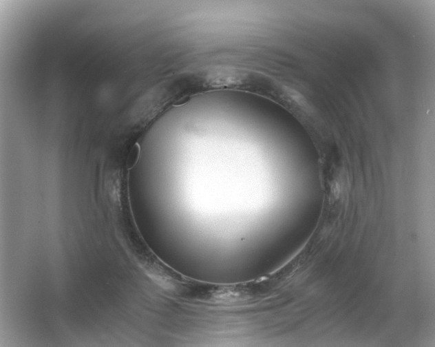 X0000063520315200601231522