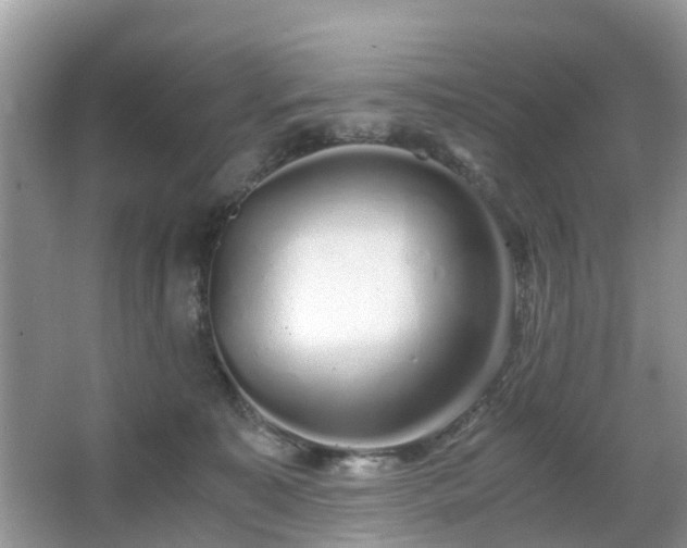 X0000063520323200601231522