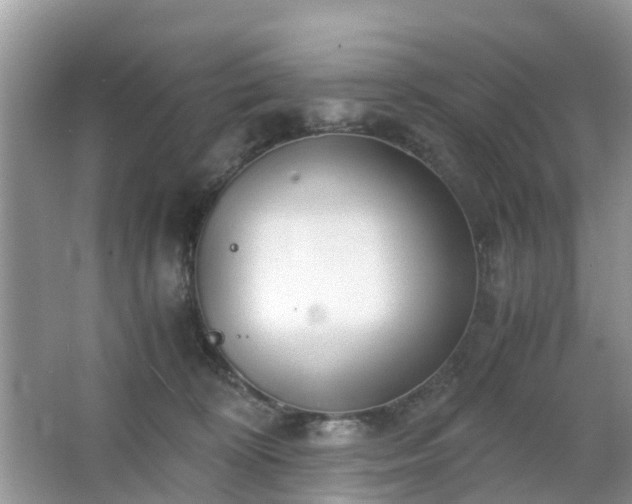 X0000063520324200601231522