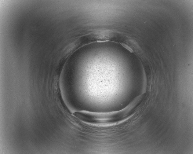 X0000063520325200601231522