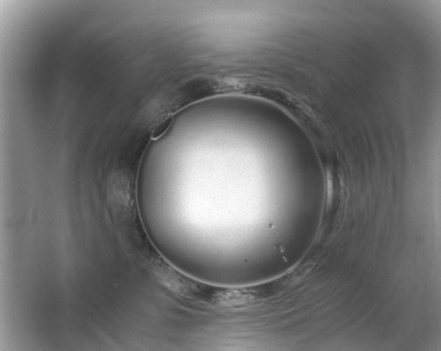 X0000063520331200601231522