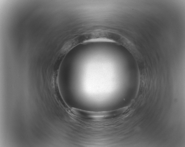 X0000063520333200601231522