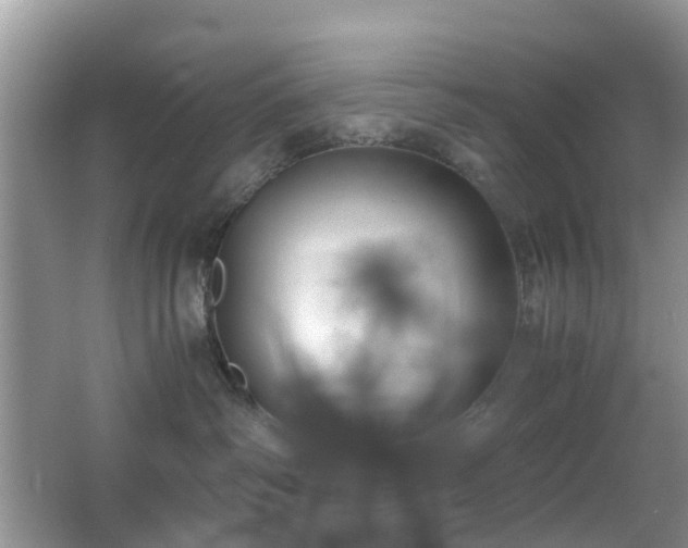 X0000063520334200601231522