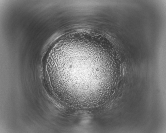 X0000063520339200601231521