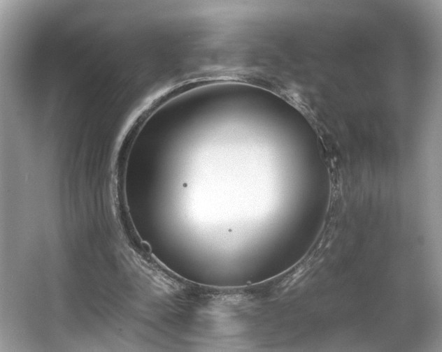 X0000063520342200601231521