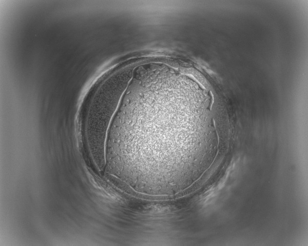 X0000063520343200601231521