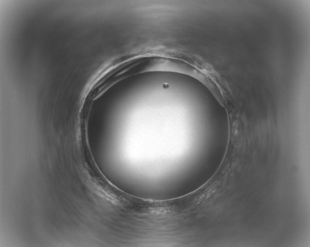 X0000063520344200601231521