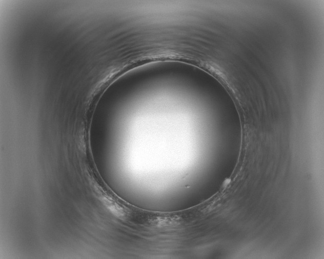 X0000063520345200601231521