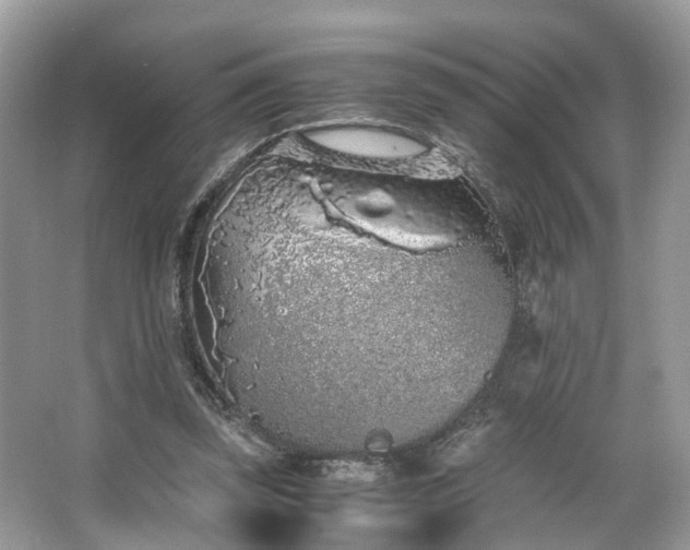 X0000063520347200601231521