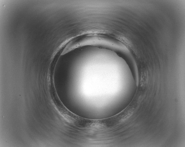 X0000063520348200601231521