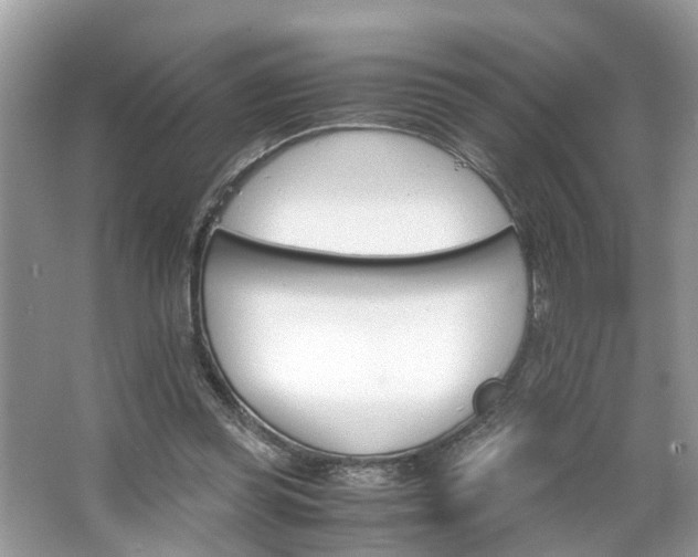 X0000063520349200601231521