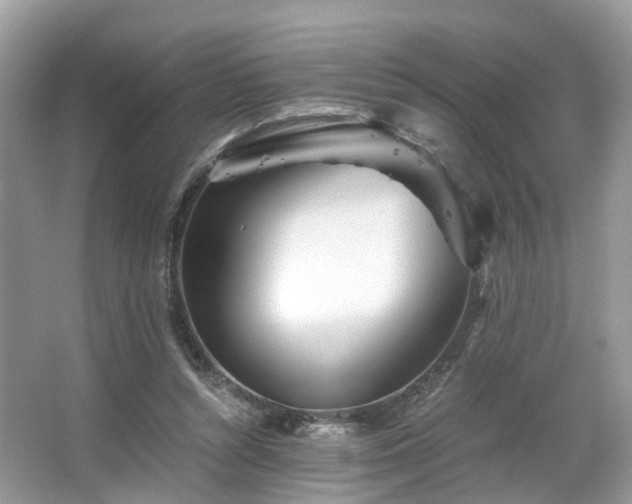 X0000063520352200601231521