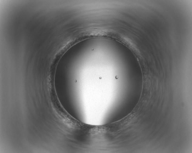 X0000063520354200601231521