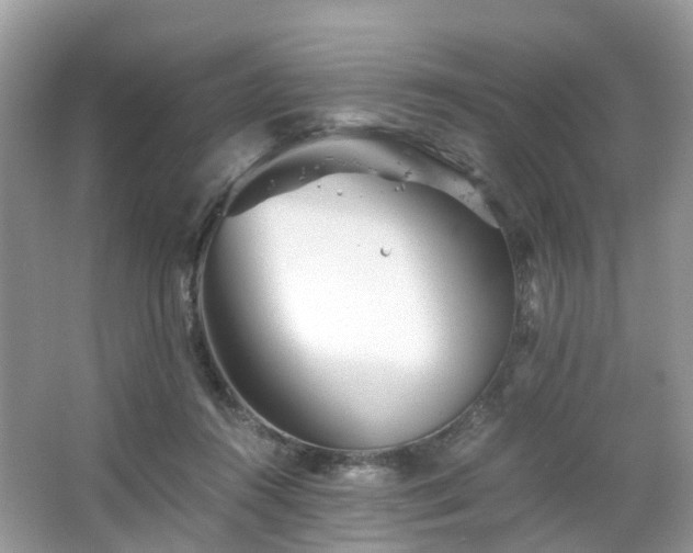 X0000063520360200601231522