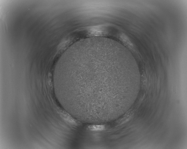 X0000063520361200601231522