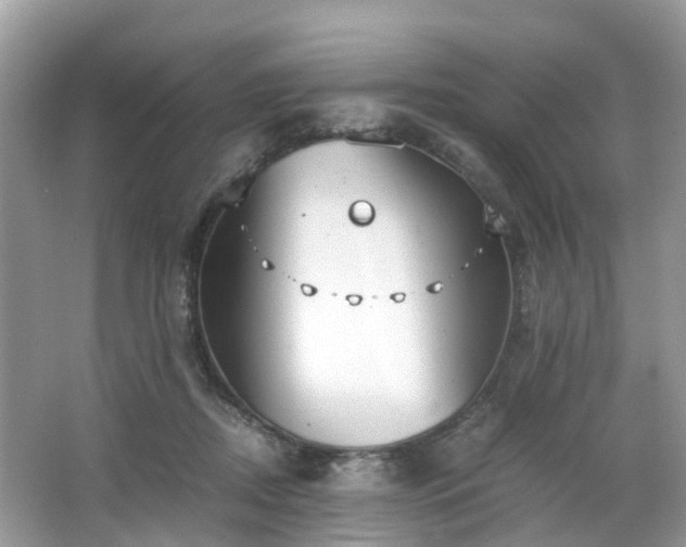 X0000063520362200601231522