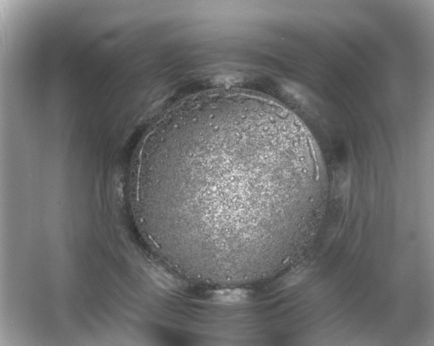 X0000063520363200601231522