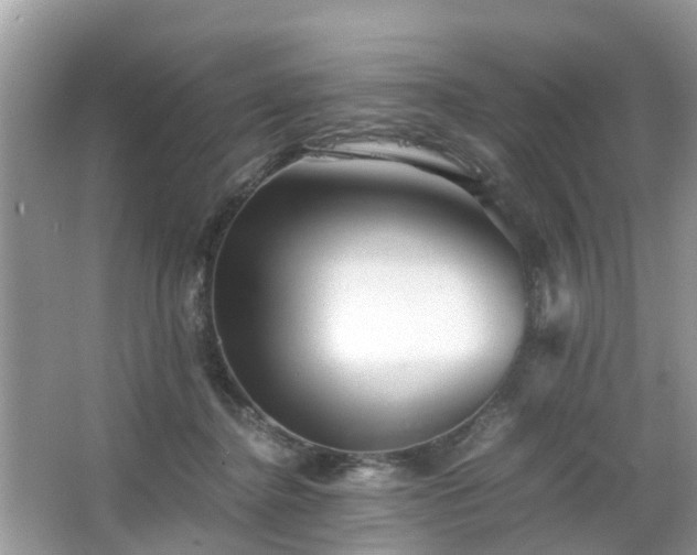 X0000063520364200601231522