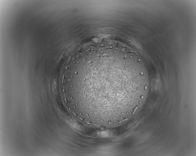 X0000063520365200601231522