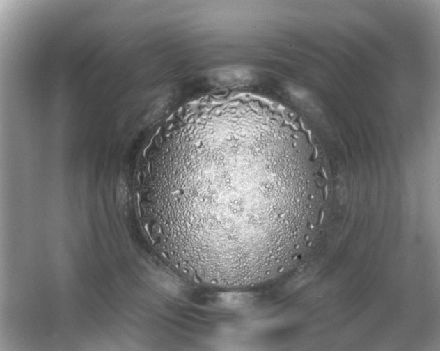 X0000063520371200601231522