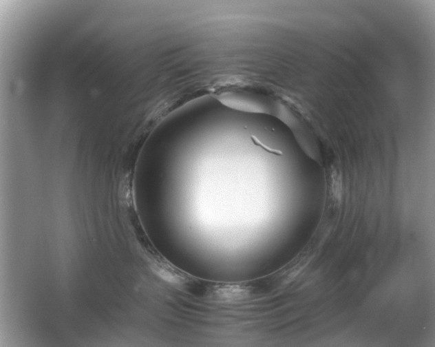 X0000063520383200601231522