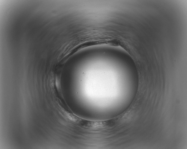 X0000063520384200601231522