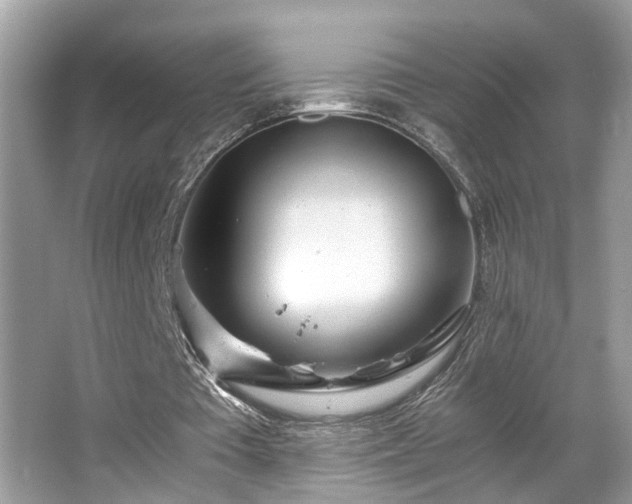 X0000063520385200601231521