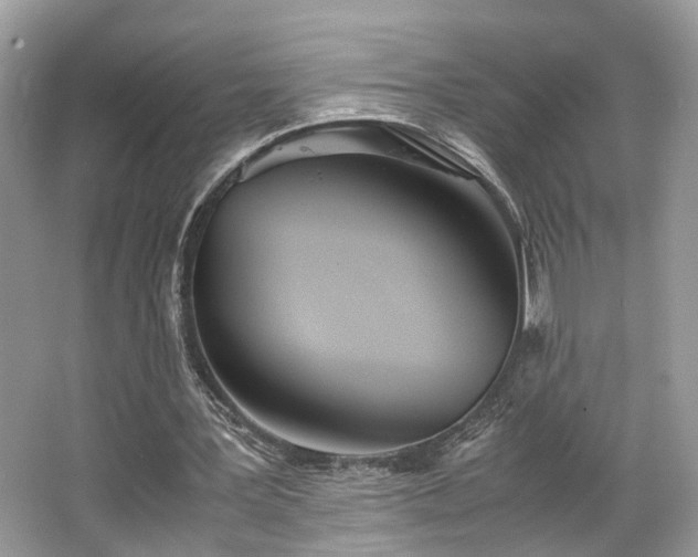 X0000063520387200601231521