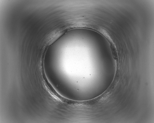 X0000063520389200601231521