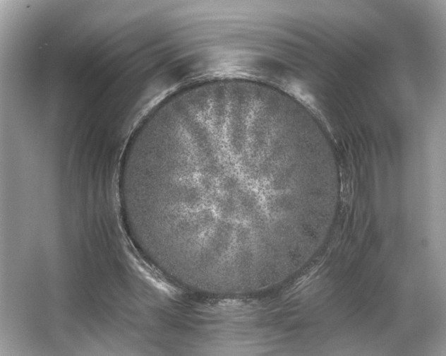 X0000063520390200601231521