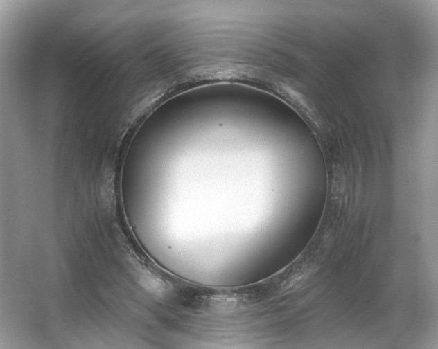 X0000063520394200601231521