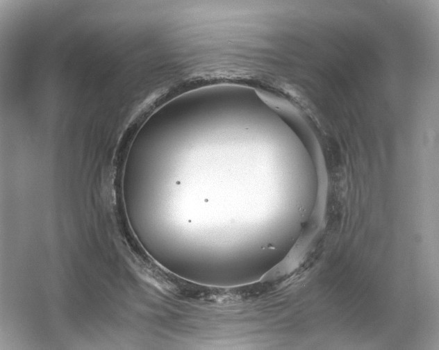 X0000063520395200601231521