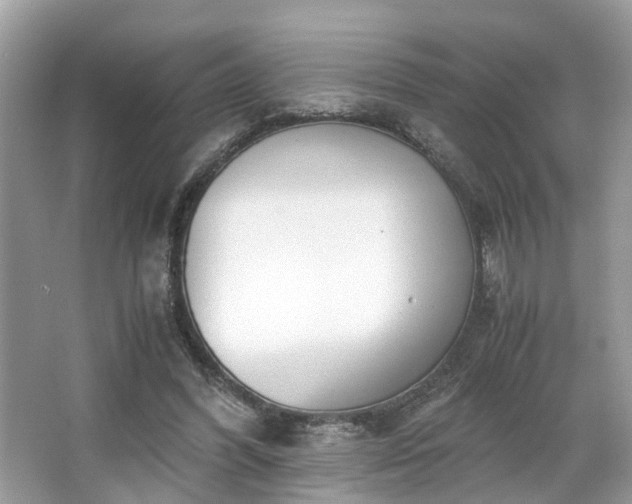 X0000063520396200601231521