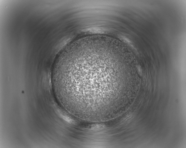 X0000063520398200601231521