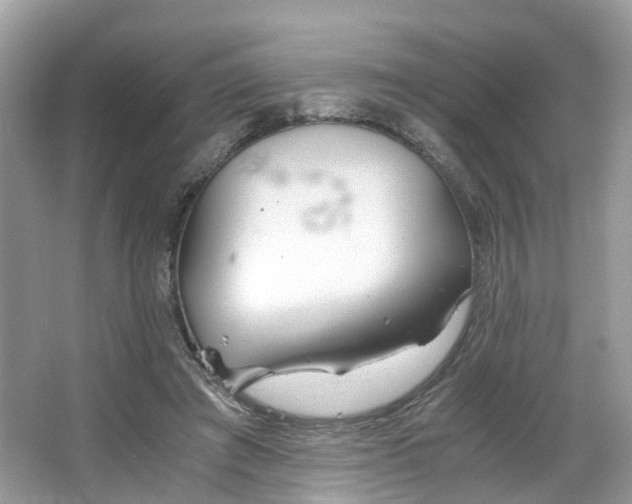 X0000063520401200601231521