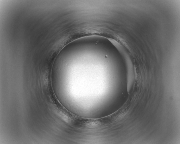 X0000063520402200601231521