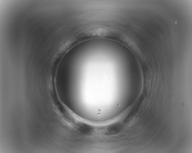 X0000063520403200601231521